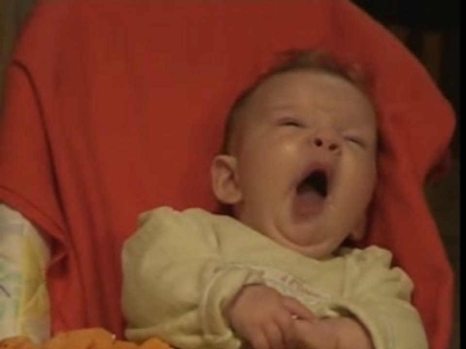 Adelie-pour-christine