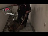 Spaccio di droga nel Casertano, tra Vairano e Calvi Risorta: 10 arresti(17.05.17)