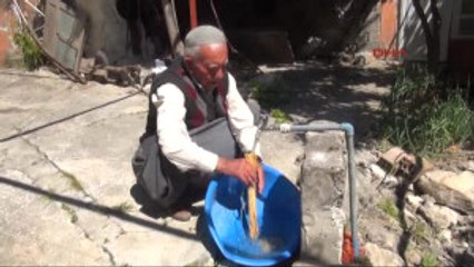 Hatay 58 Yıllık Hasırcı Çift Çırak Arıyor