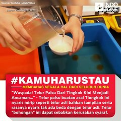 Fake chicken eggs made in China