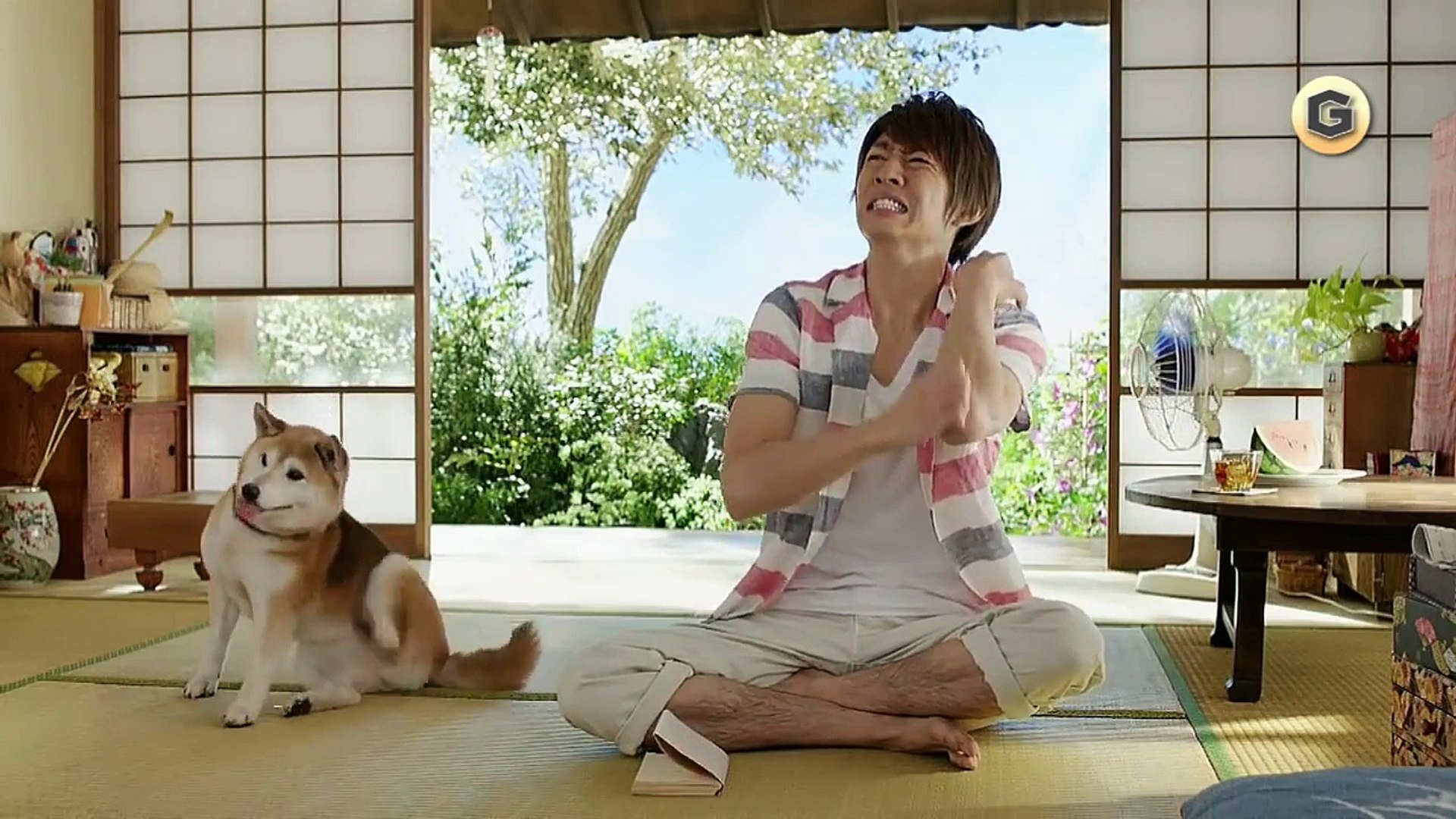 相葉雅紀 Cm ムヒ 飼い主に似る 毒虫シュミレーター Video Dailymotion