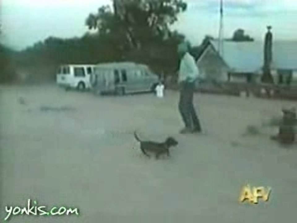 Chien fusée