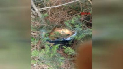 Kartal'da Polis Patlayıcı Ele Geçirdi