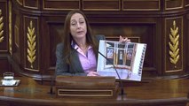 Una diputada de Ciutadans diu que hi ha violència contínua a Catalunya