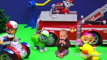 PAW PATROL Nickelodeon Paw Patrol Baby & The Assistant a Paw Patrol Video Parody 2