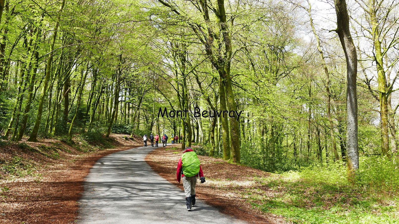 Balade au Mont Beuvray