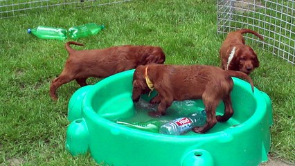 Eh oui, dans le Nord ce mercredi 17 mai, il fait 28°C. C'est chouette la piscine.
