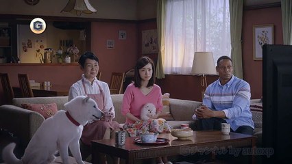 ソフトバンク CM ギガ物語 「⑨琴奨ギガ」篇