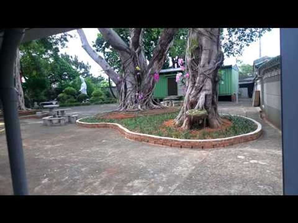 W.M.D. Found in Buddhist Monastery in TAIWAN!?!?!