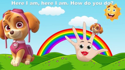 Paw Patrol Finger Family By Funny Finger Family 2