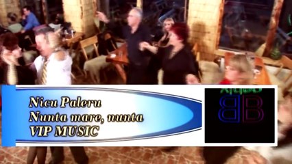 Nicu Paleru - Nunta mare,nunta