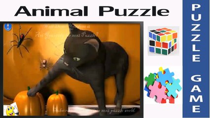 Black Cat | Amazing Puzzle Game & Jigsaw for Little Kids