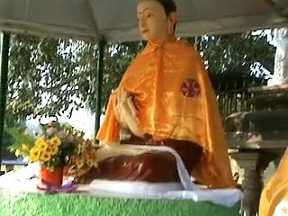 Holy & Ancient-Bodhi Tree-Sarnath,Varanasi