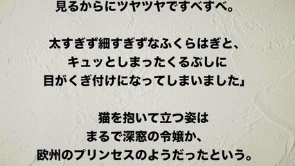 【前田敦子】前田敦子"見るからにツヤツヤですべすべ"過去最高ボディ