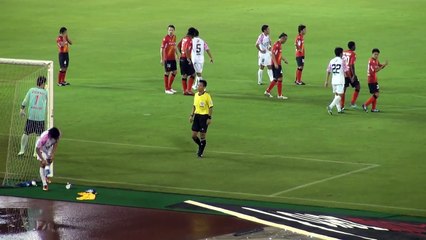 20130713　サガン鳥栖VS名古屋グランパス　野田がファール受けヒートアップ