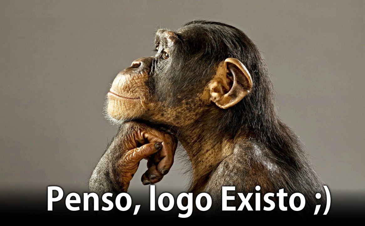 Penso, Logo Existo ;) Dicas do Camaleão 40