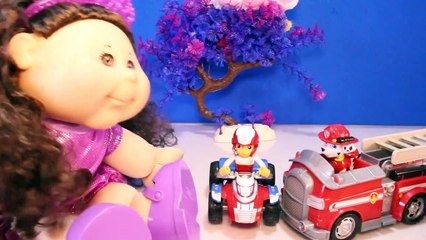 PAW PATROL Toys Save CABBAGE PATCH KIDS Adoptimals Cat Youtube Video for Kids