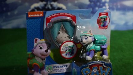 PAW PATROL ☆ Everest le Husky spécialiste en missions hivernales de Pat Patrouille