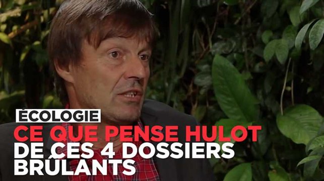 Ce que pense Nicolas Hulot du nucléaire, du gaz de schiste, de Notre-dame-des-Landes...