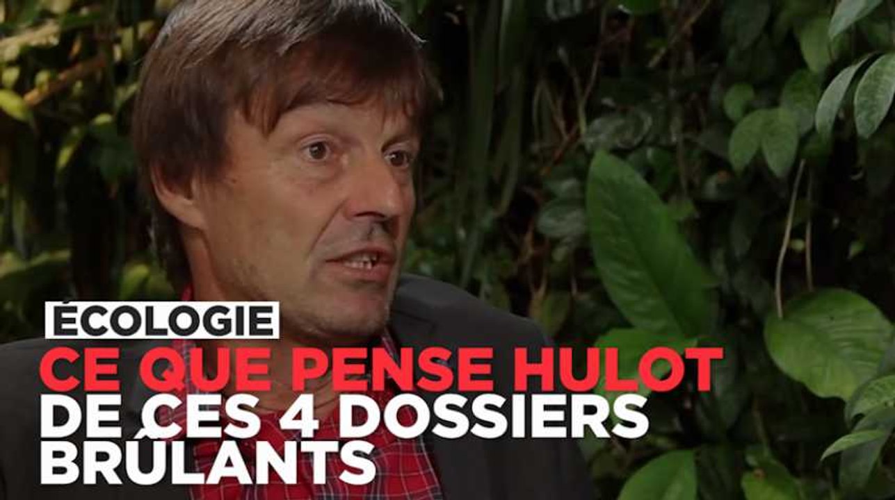 Ce que pense Nicolas Hulot du nucléaire, du gaz...