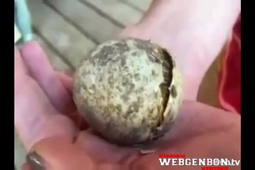 Herşeye  Can Veren Rabbim..