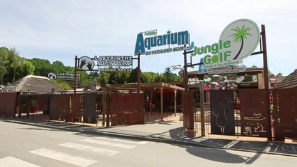 Le Big Bird, nouvelle attraction à sensations en Périgord noir