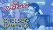 Fabregas' Chelsea team-mates