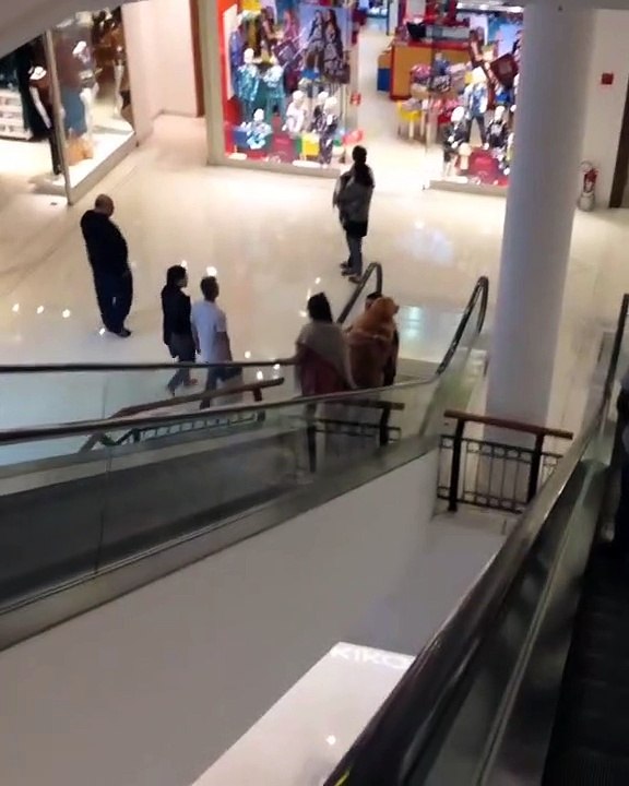 Ce gros chien a visiblement trop peur de prendre l'escalator