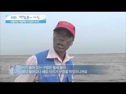 백발백중 낙지잡이 사나이 [광화문의 아침] 72회 20150916