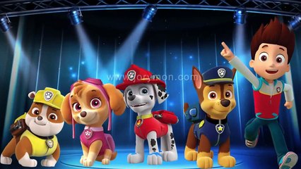 Download Video: Paw Patrol Finger Family Nursery Rhymes Songs | Cartoon Animation Paw Patrol for Children