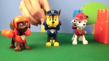 Videos para niños - Paw Patrol Juguetes - Tesoro - Paw Patrol toys