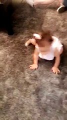 Luna Stephens Gets Down To Rihanna & Her Dance Moves Are Too Cute For Words -- Watch