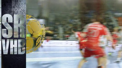 Saint-Raphael flying the french flag at the LIQUI MOLLY EHF Cup Finals