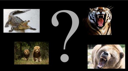 Quel est ce dangereux prédateur qui poursuit cet homme ?