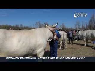New Farmers alla Fiera di San Gregorio a Morciano di Romagna
