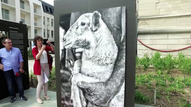 Vincennes images festival Amateur 2017 VIF avec Yann Arthus Bertrand et Nikos Aliagas.