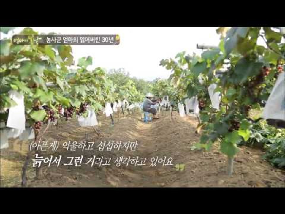 농사꾼 엄마의 잃어버린 30년 [엄마의 봄날] 12회 20150829