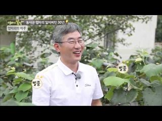 봄날지기들의 포도서리?!  [엄마의 봄날] 12회 20150829