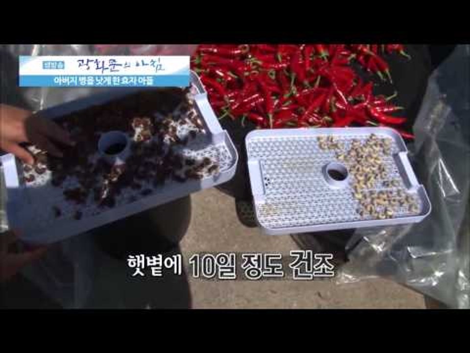 아버지 병을 낫게 한 효자 아들 [광화문의 아침] 60회 20150831