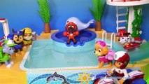 PAW PATROL Nickelodeon Paw Patrol Diving Contest a Paw Patrol Toy Video Parody