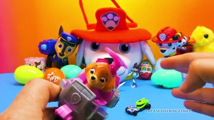 PAW PATROL Nickelodeon Paw Patrol Surprise Eggs & Basket & Miles Tomorrowland a Paw Patrol