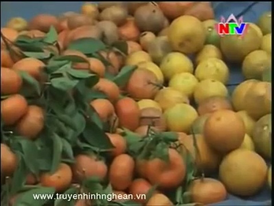 Thương hiệu cam Vinh bị làm nhái