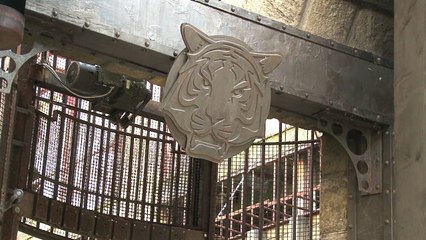 Le Fort Boyard sauvé des eaux par la télévision