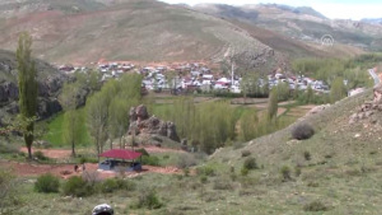 Bayburt'ta Dev Mantar Bulundu