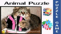 Cat Shoes | Amazing Puzzle Game & Jigsaw for Little Kids