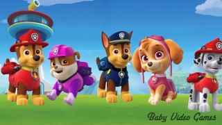 Paw Patrol Finger Family Songs | Nursery Rhymes for Children and Kids