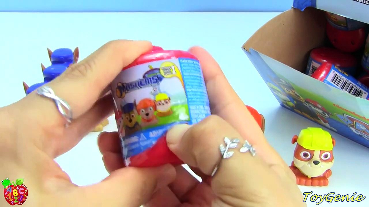 Paw Patrol Mashems Full Case