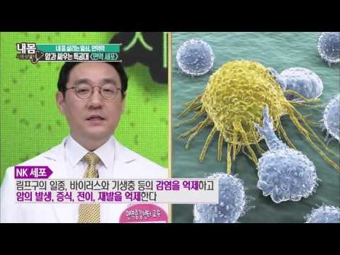 암과 싸우는 특공대 면역세포 [내 몸 사용 설명서] 67회 20150913