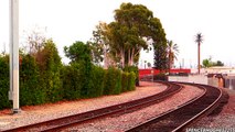 Amtrak Trains in Fullerton/Santa Ana (January 26th, 2014)