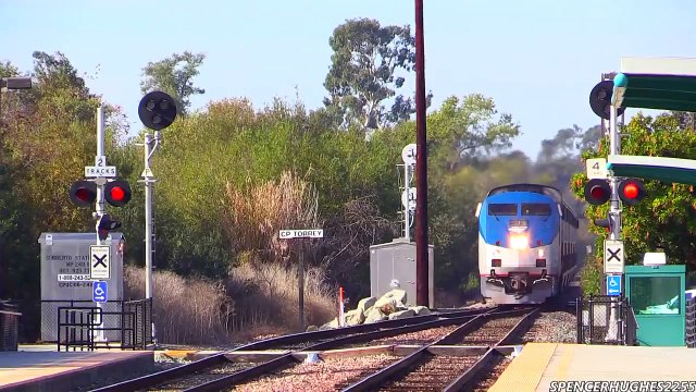 Amtrak Trains on Thanksgiving weekend (November 30th, 2013) Lots of Locations !!